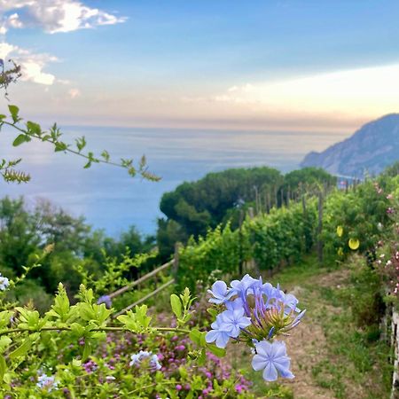 Villa Pietrafiore Monterosso al Mare Dış mekan fotoğraf