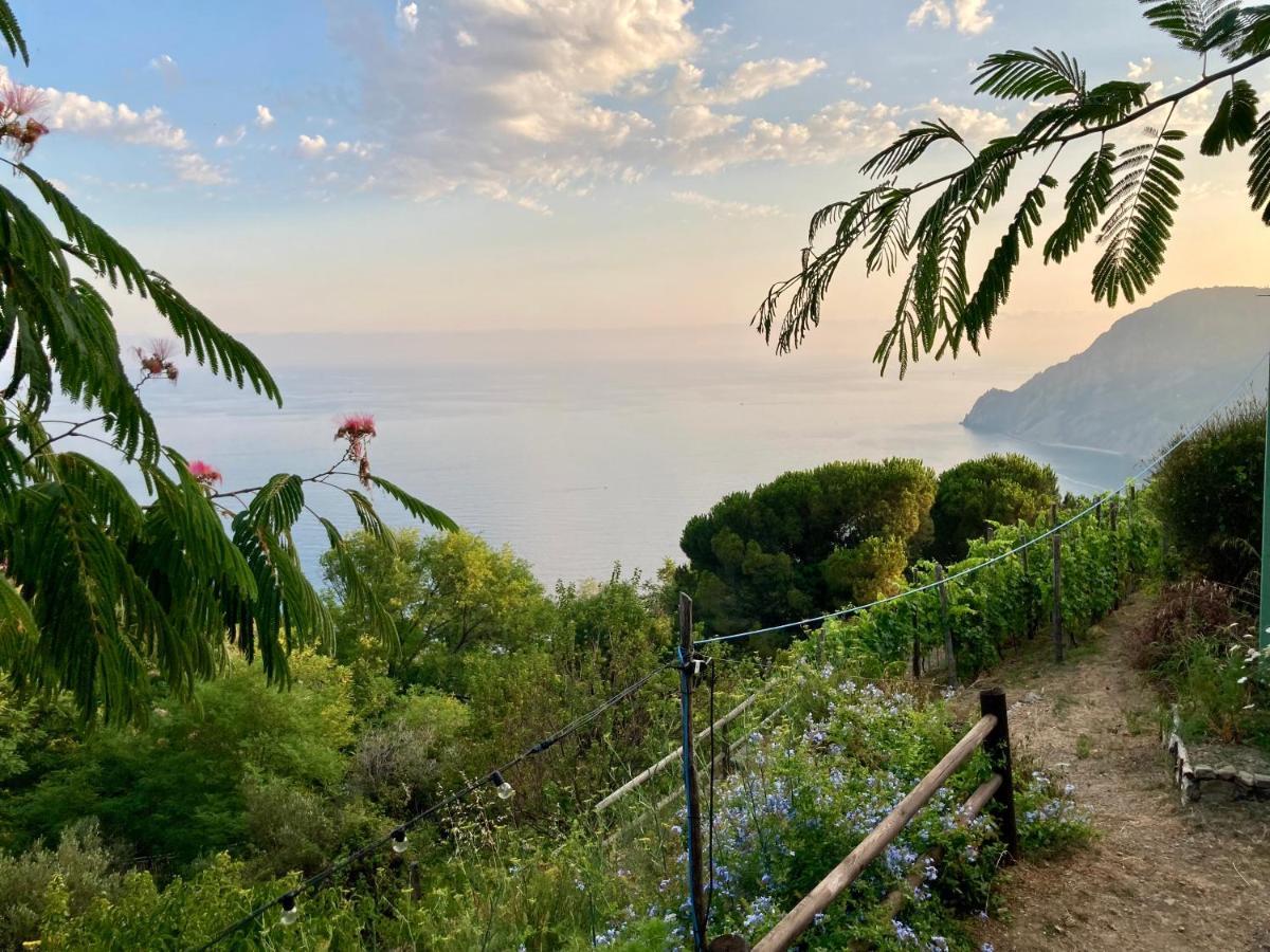 Villa Pietrafiore Monterosso al Mare Dış mekan fotoğraf