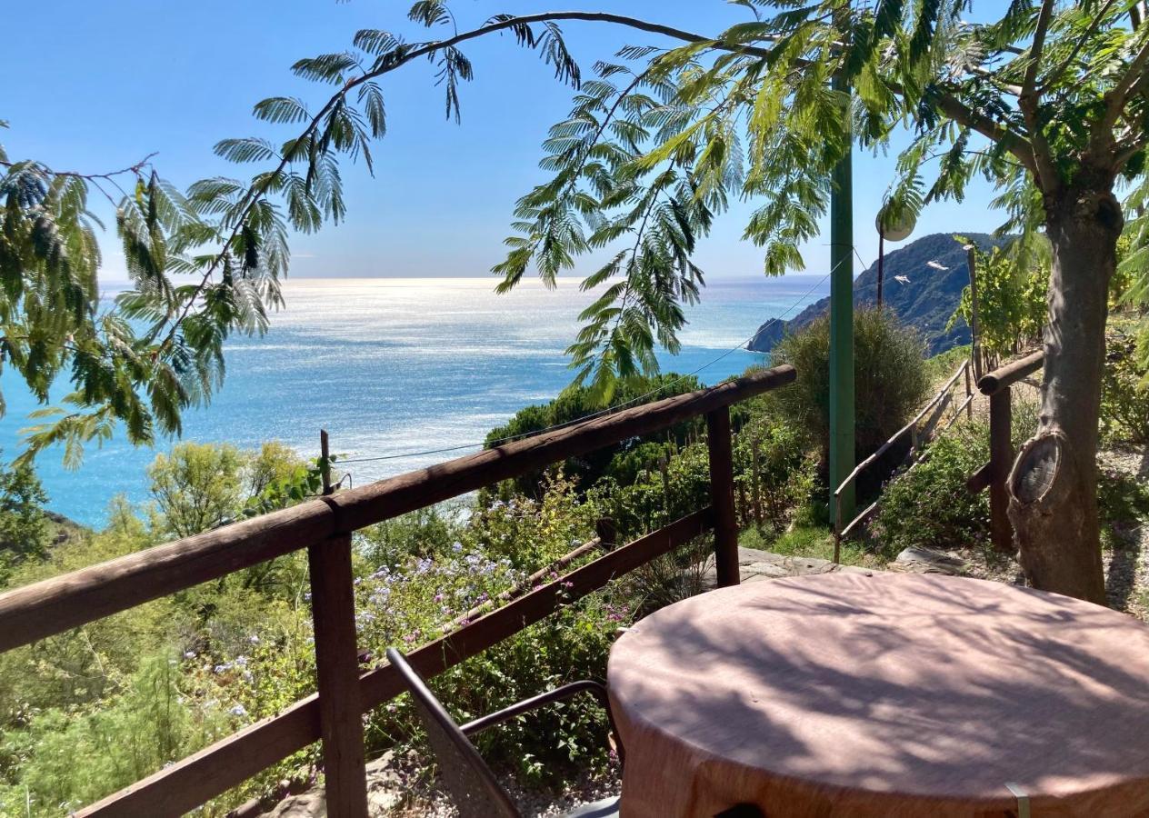 Villa Pietrafiore Monterosso al Mare Dış mekan fotoğraf