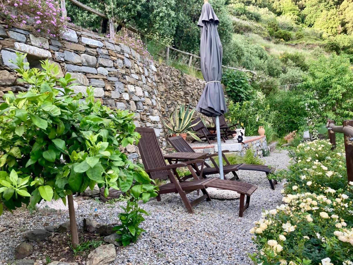 Villa Pietrafiore Monterosso al Mare Dış mekan fotoğraf