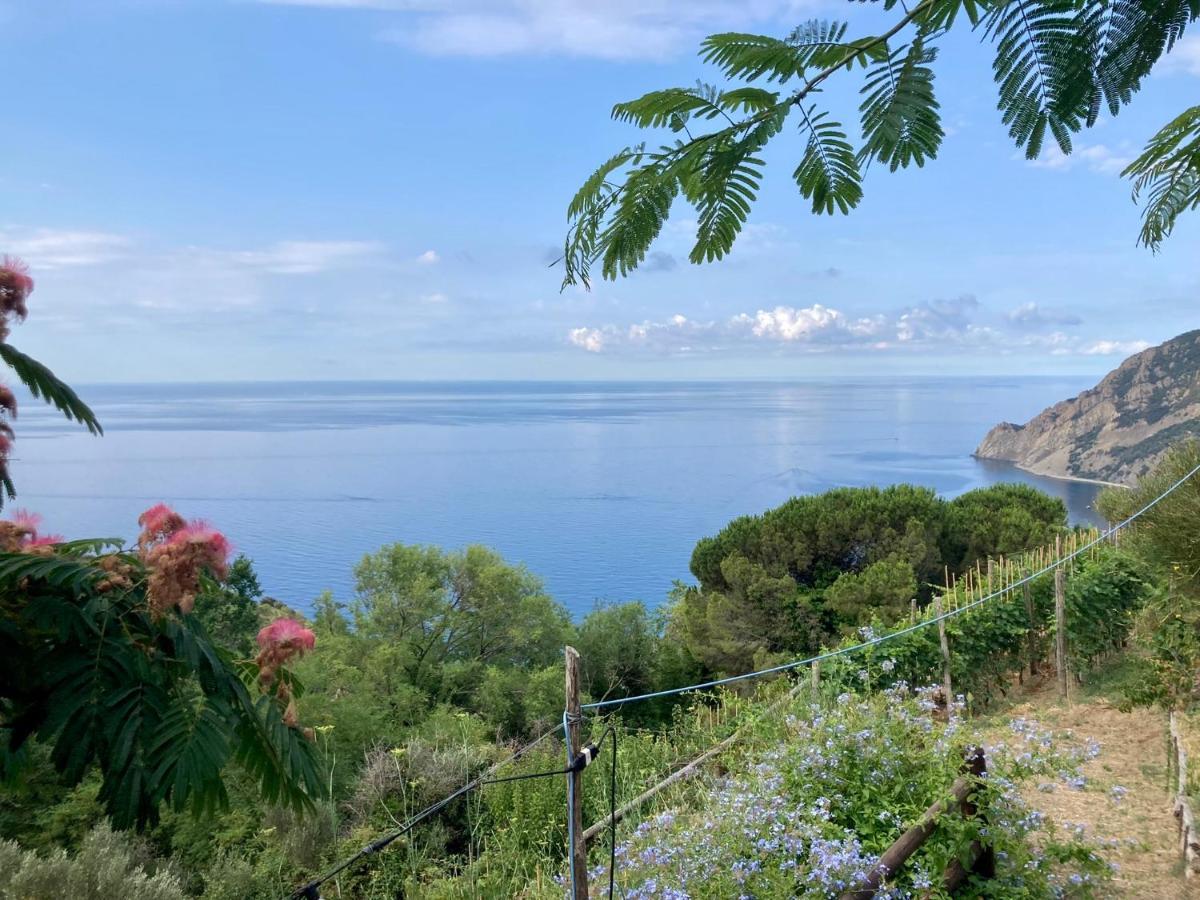 Villa Pietrafiore Monterosso al Mare Dış mekan fotoğraf