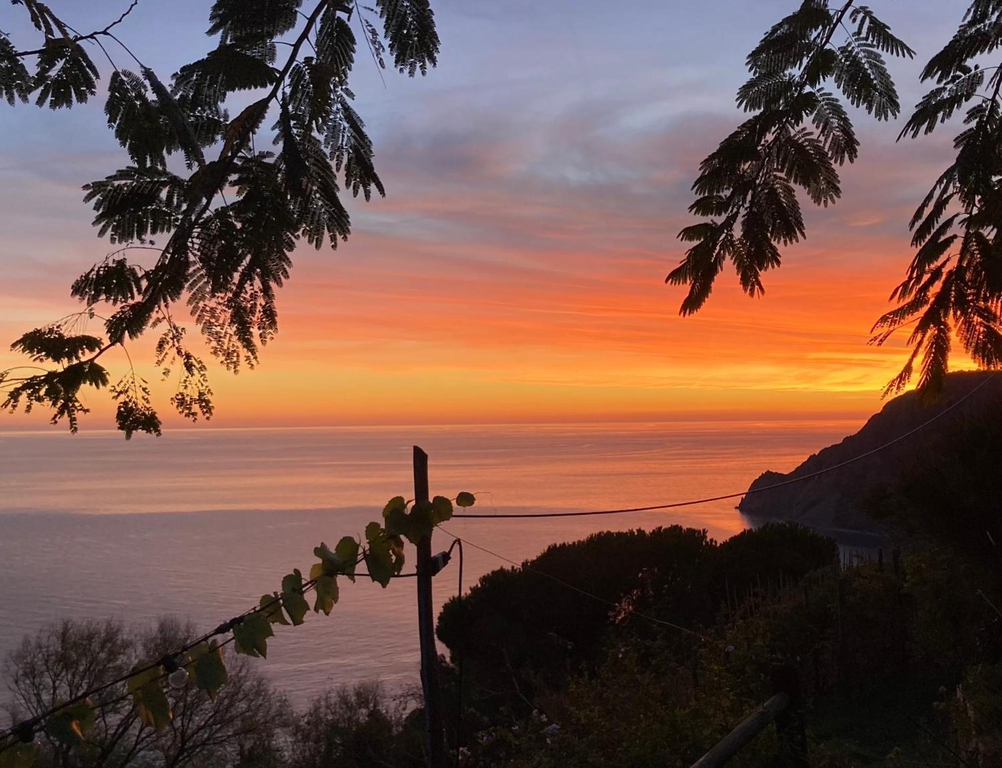 Villa Pietrafiore Monterosso al Mare Dış mekan fotoğraf