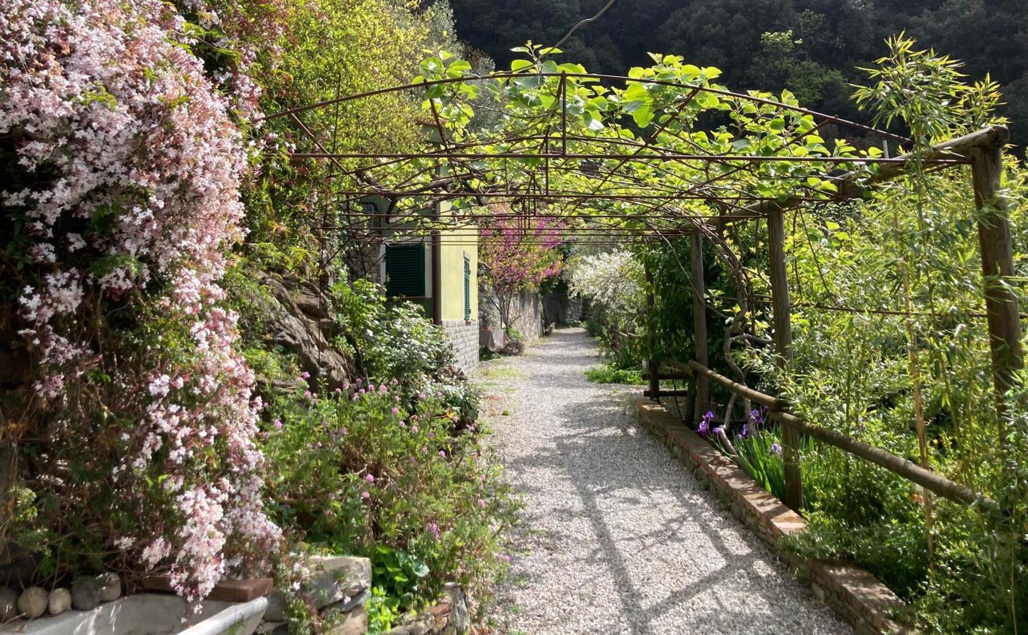 Villa Pietrafiore Monterosso al Mare Dış mekan fotoğraf