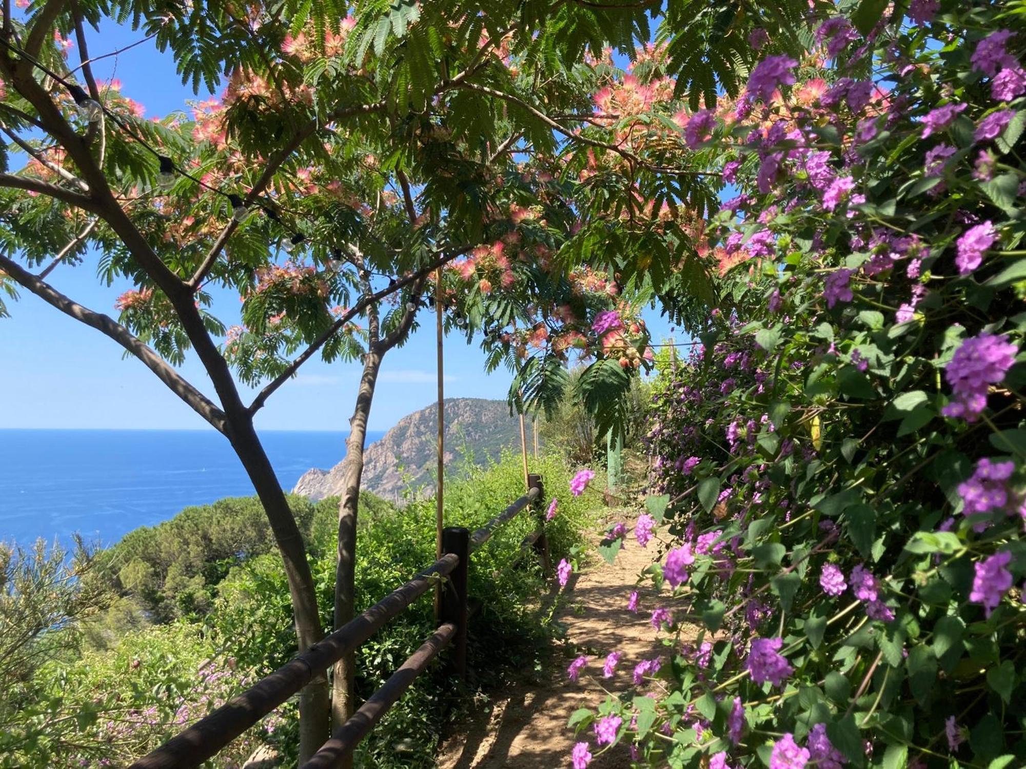 Villa Pietrafiore Monterosso al Mare Dış mekan fotoğraf