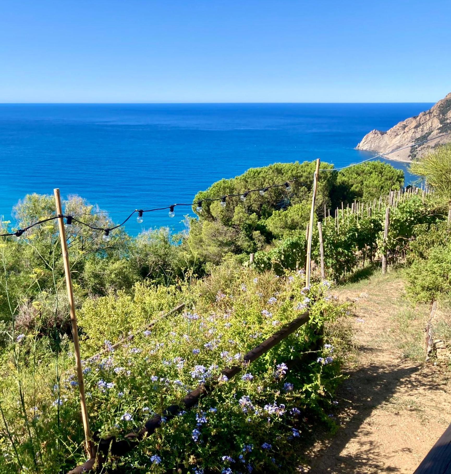 Villa Pietrafiore Monterosso al Mare Dış mekan fotoğraf