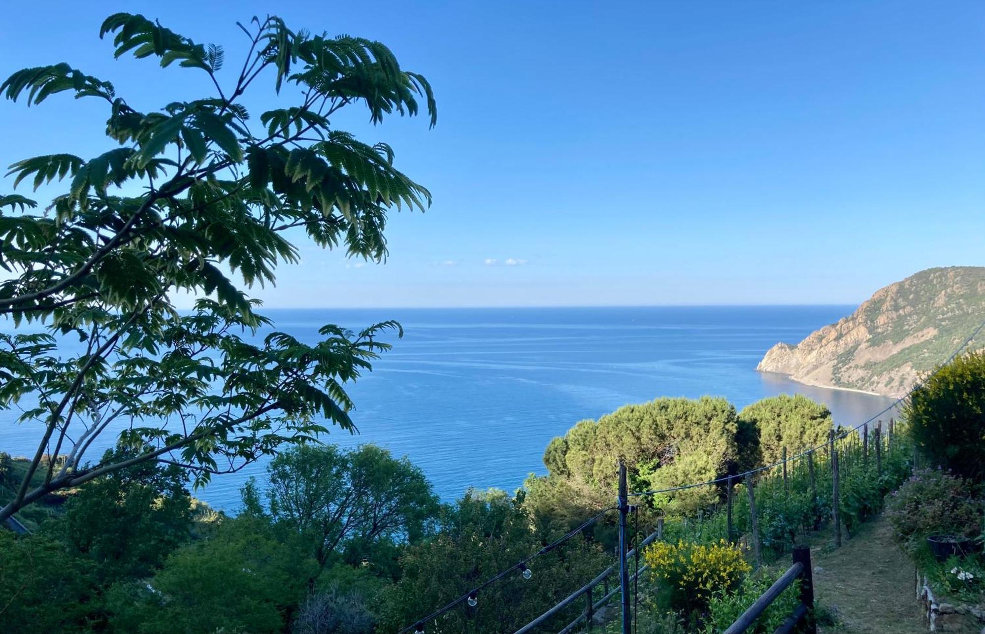 Villa Pietrafiore Monterosso al Mare Dış mekan fotoğraf