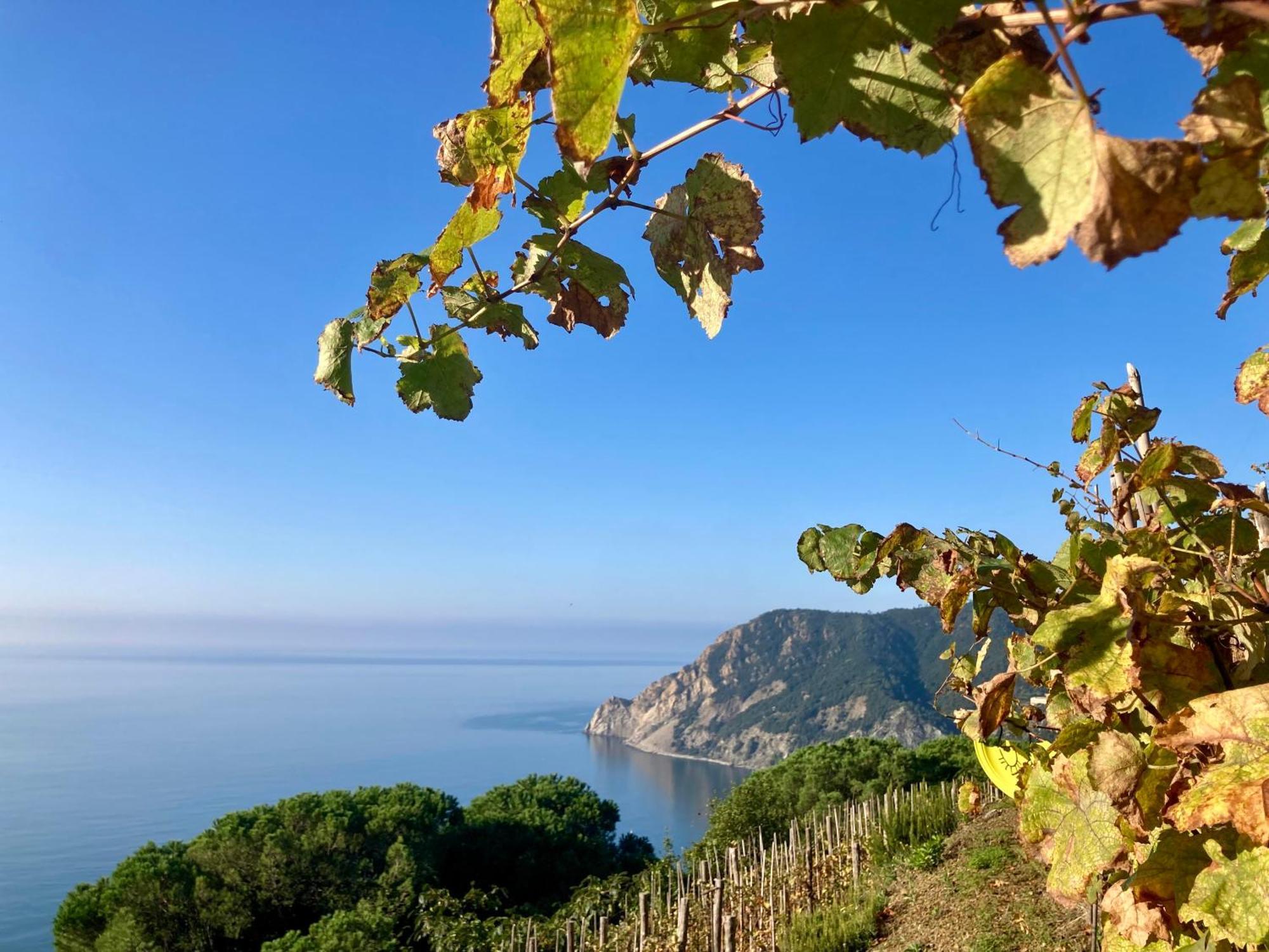 Villa Pietrafiore Monterosso al Mare Dış mekan fotoğraf