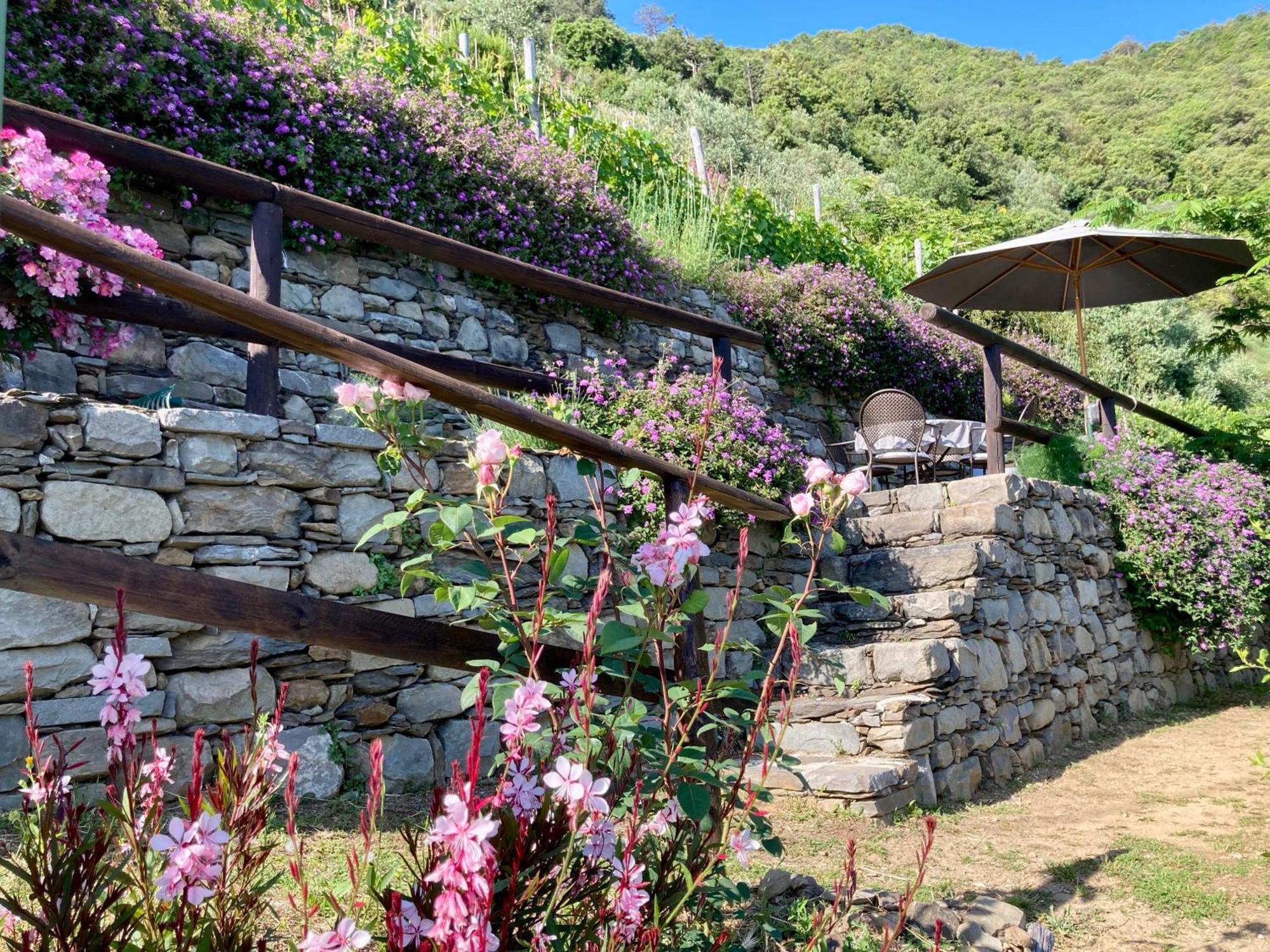Villa Pietrafiore Monterosso al Mare Dış mekan fotoğraf